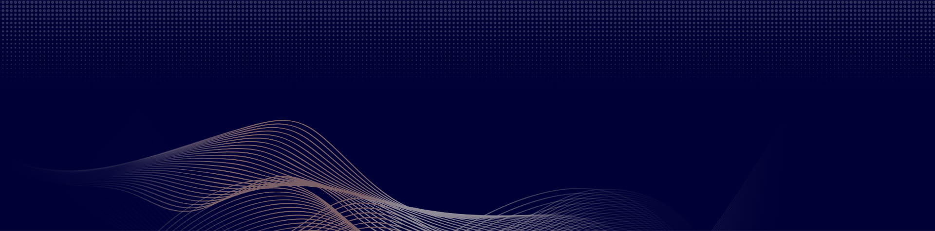 高级搜索 圣洛伦索